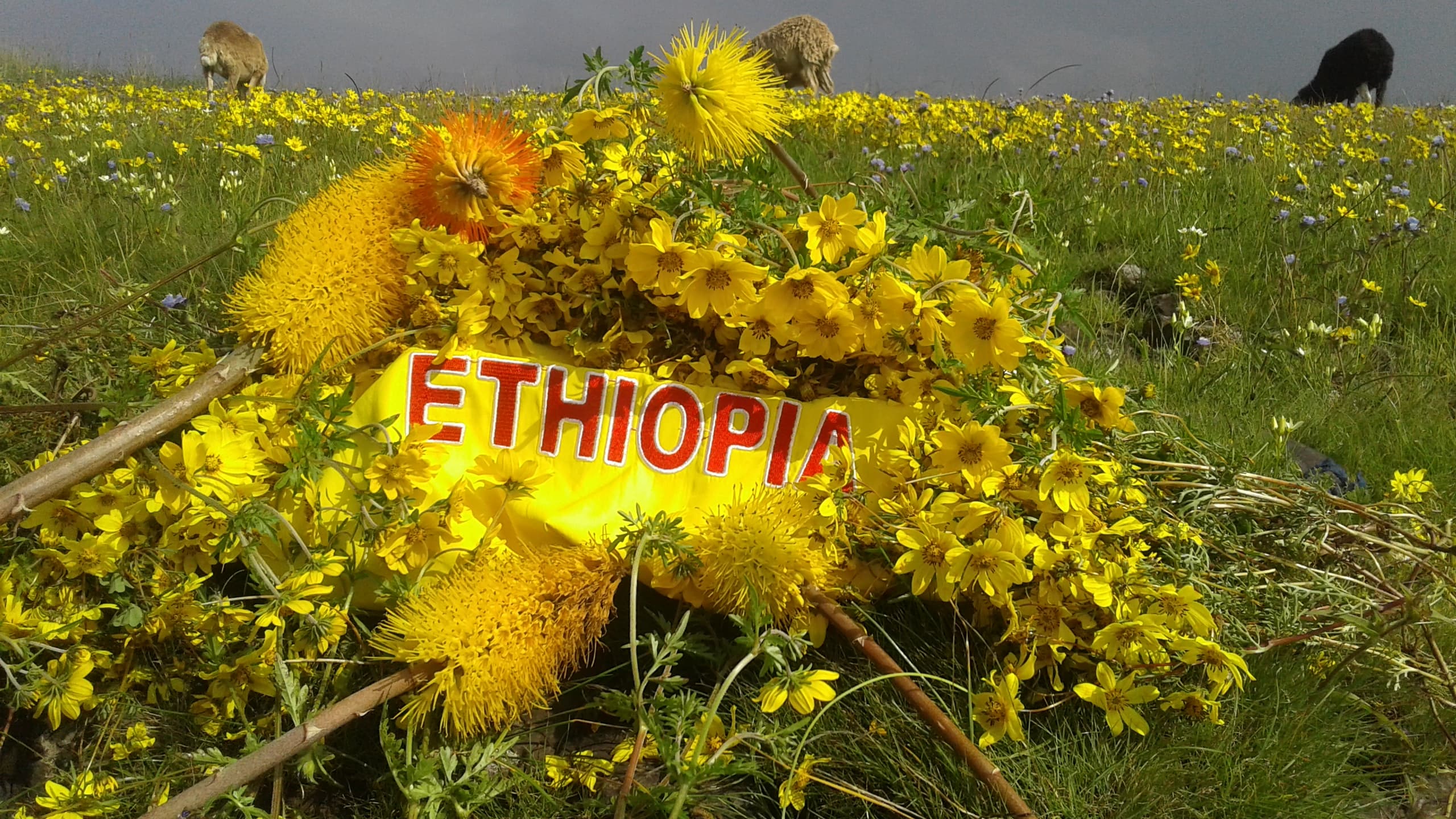 How to Celebrate Enkutatash (Ethiopian New Year) in the US